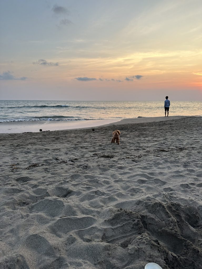 Canggu Bali – Tipps zu Stränden Cafés und Highlights