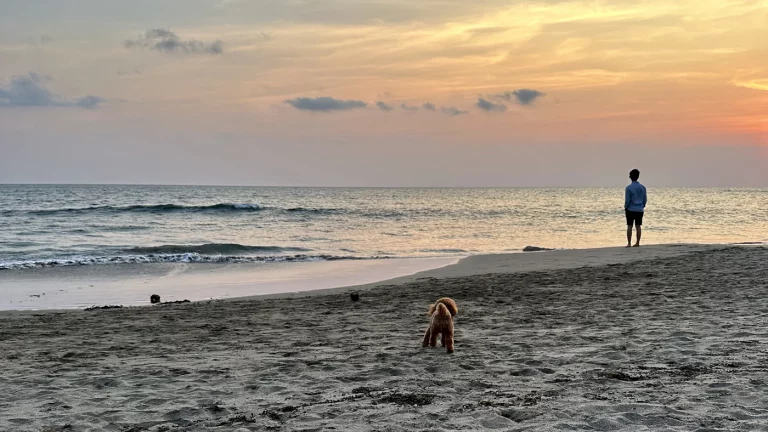 Strand in Canggu beim Sonnenuntergang während der Bali Rundreise.