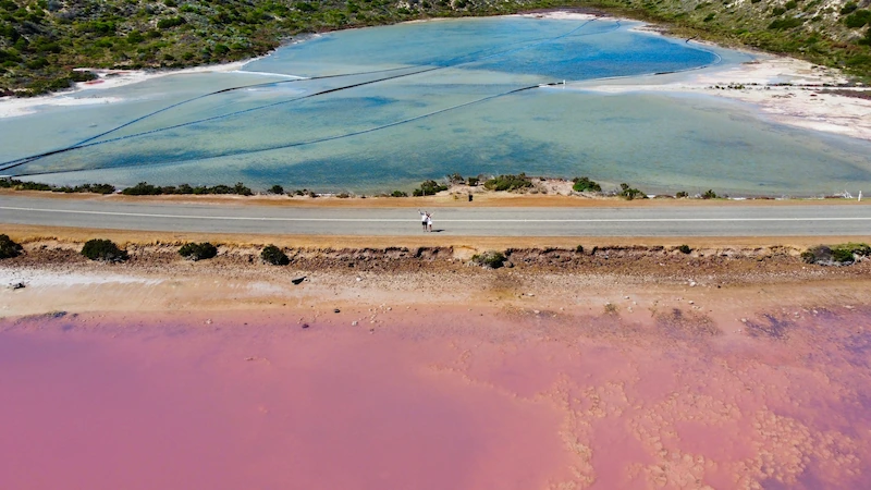 Pink Lake in West Australien.